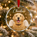 Personalized Pet Memorial Glass Ornament, Custom Dog Portrait Christmas Keepsake, In Loving Memory Christmas Keepsake