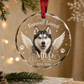 Personalized Pet Memorial Glass Ornament, Custom Dog Portrait Christmas Keepsake, Dog Retriever Ornaments, Loss of Cat, Pet Memorial Gifts